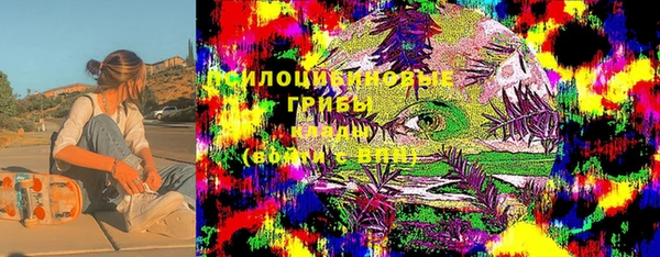 стаф Абинск