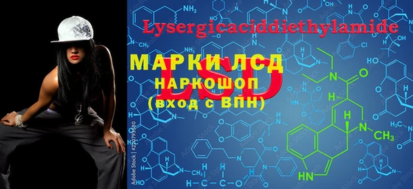 стаф Абинск