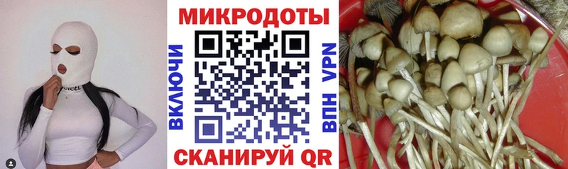 Галлюциногенные грибы Psilocybine cubensis Керчь