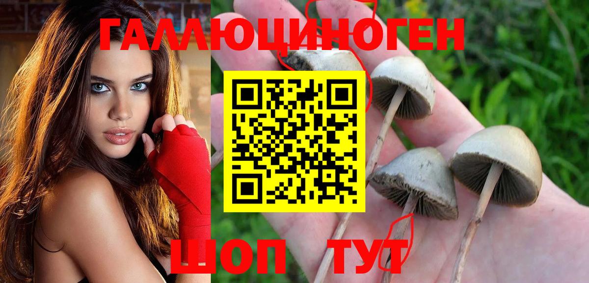 Псилоцибиновые грибы прущие грибы Керчь