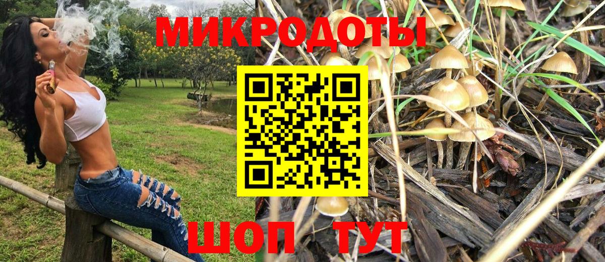 Галлюциногенные грибы Magic Shrooms  Вход с VPN  Керчь 