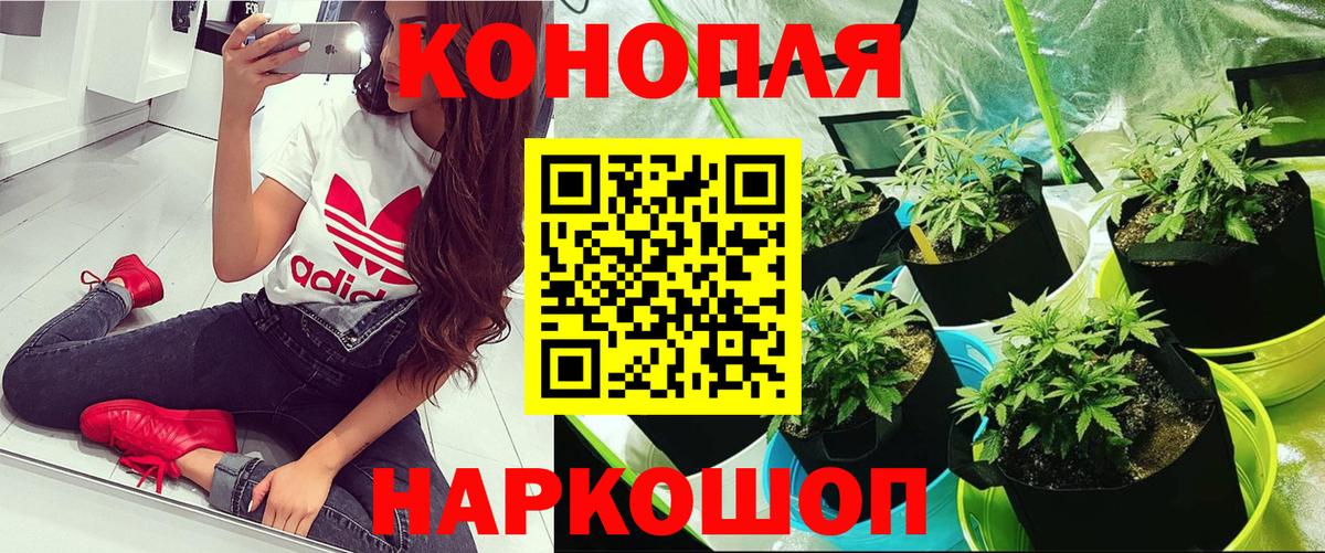 Бошки Шишки Amnesia Керчь